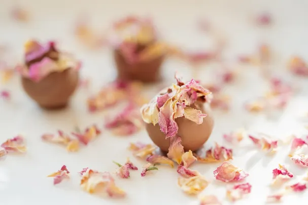 Vegas Spins Casino Android/iOS App